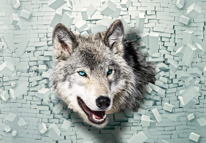 Fototapeta 3d wilk mur cegły abstrakcja 2941VE