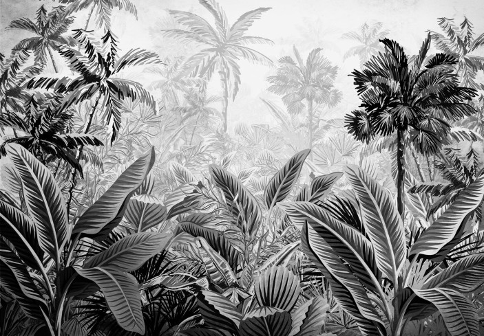 Fototapeta las tropikalny słoneczna dżungla amazonia czarno biała