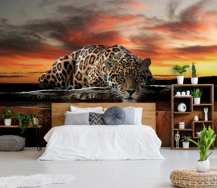 Fototapeta tygrys jaguar afryka safari natura zwierzęta