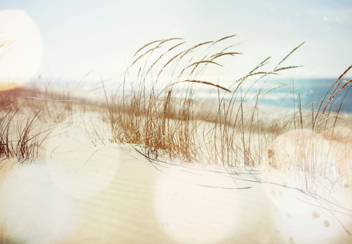 Fototapeta plaża morze 3d wydmy 14596VE