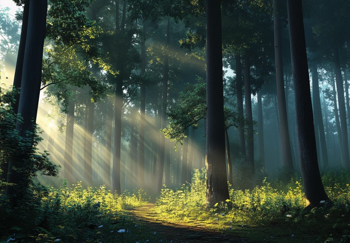 Fototapeta las 3d drzewa natura na wymiar 15655VE