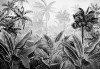 Fototapeta las tropikalny słoneczna dżungla amazonia czarno biała