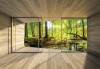 Fototapeta 3d las słoneczny widok z okna natura