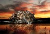 Fototapeta tygrys jaguar afryka safari natura zwierzęta