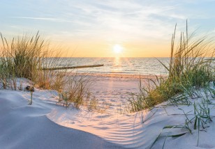 Fototapeta plaża morze na wymiar 14020VE