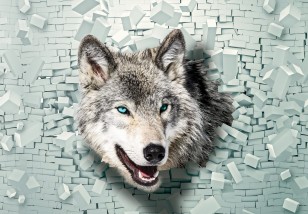 Fototapeta 3d wilk mur cegły abstrakcja 2941VE