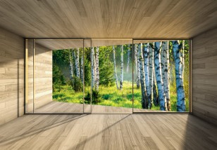 Fototapeta 3d brzozowy las natura okno 14239VE