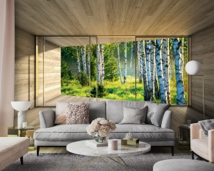 Fototapeta 3d brzozowy las natura widok okno 14239VE