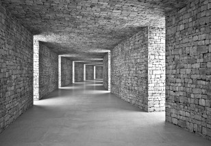 Fototapeta 3d tunel drewno korytarz szara optyczna 14036VE