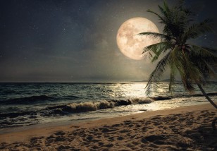 Fototapeta plaża morze księżyc natura krajobraz