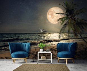 Fototapeta plaża morze księżyc natura krajobraz