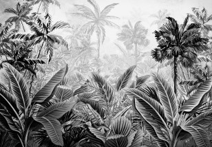 Fototapeta las tropikalny słoneczna dżungla amazonia czarno biała