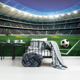 Fototapeta dla dzieci młodzieżowa stadion piłka nożna sport