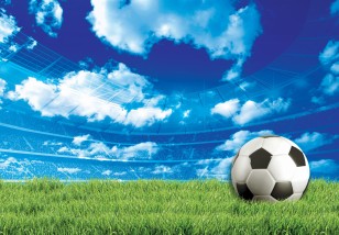 Fototapeta dla chłopca młodzieżowa stadion piłka nożna sport