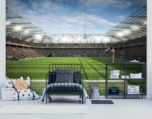 Fototapeta boisko bramka stadion piłka nożna sport