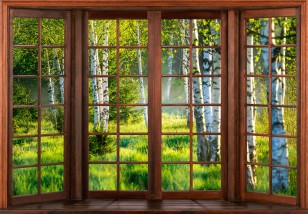 Fototapeta widok z okna las brzozowy brzozy natura krajobraz