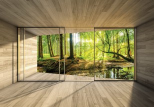 Fototapeta 3d las słoneczny widok z okna natura
