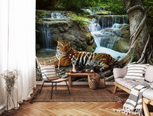 Fototapeta tygrys wodospad natura krajobraz las zwierzęta