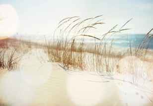 Fototapeta plaża morze 3d wydmy 14596VE
