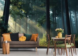 Fototapeta las 3d drzewa natura na wymiar 15655VEAR1