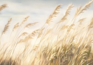 Fototapeta trawa pampasowa natura boho na wymiar 15540VE
