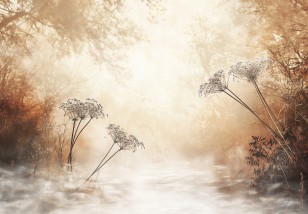 Fototapeta drzewa las boho beż na wymiar 15404VE