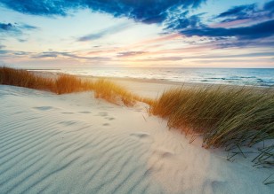 Fototapeta plaża morze piasek wydmy piasek na wymiar 14748VX